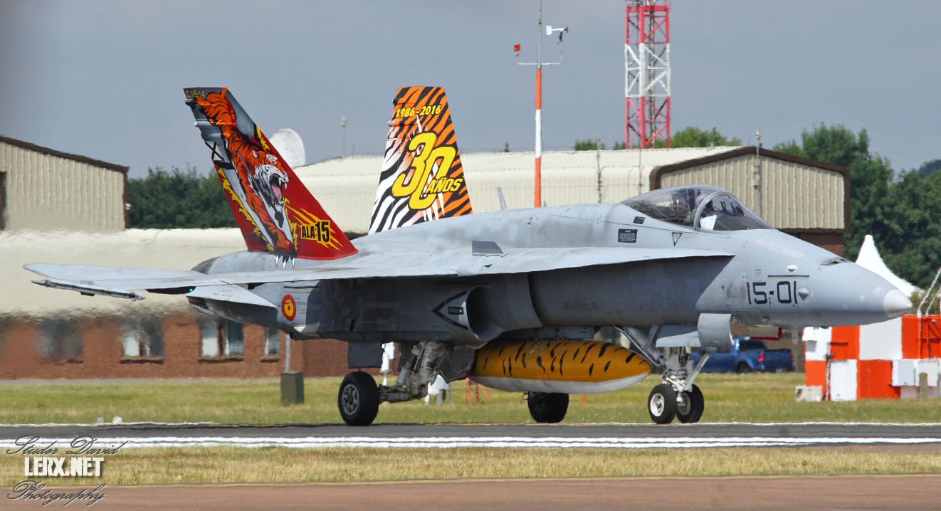 FA-18 Espagnol 0008  LERX NET.jpg
